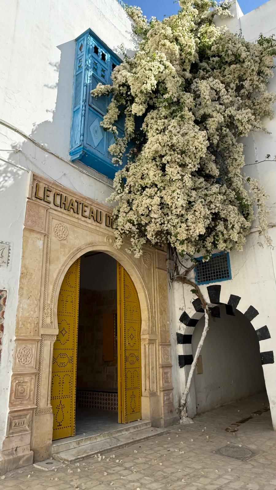 Tunisia Xplora — viaggio en Tunisia