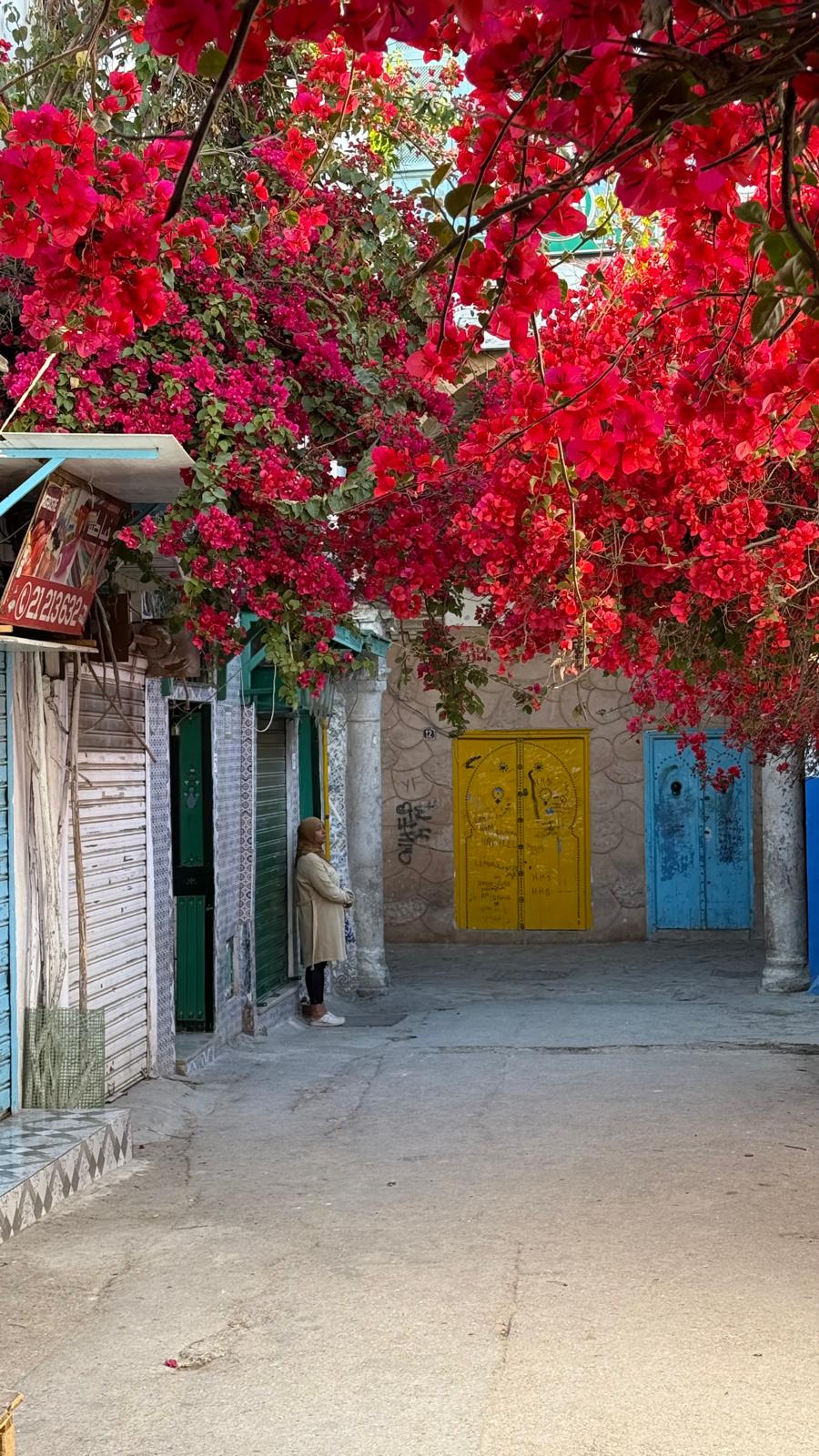 Tunisia Xplora — viaggio en Tunisia