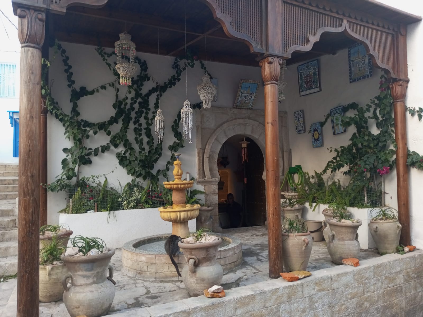 Tunisia Xplora — viaggio en Tunisia