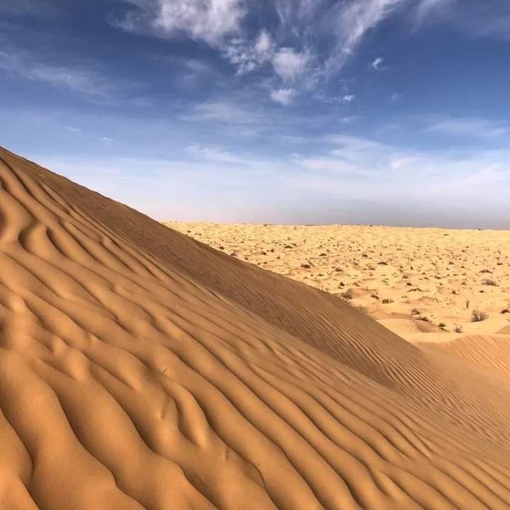 Dune del deserto tunisino