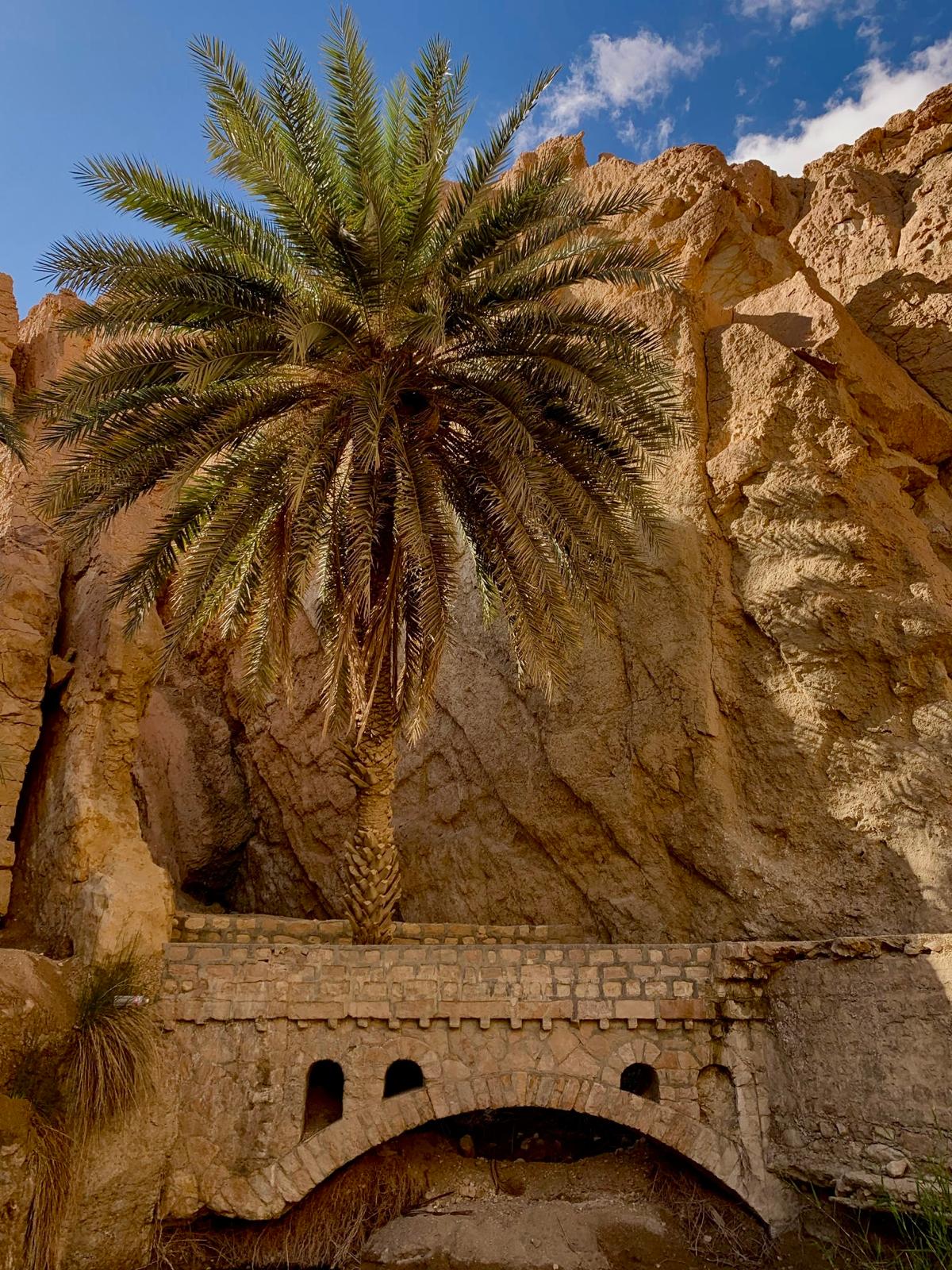 Tunisia Xplora — viaggio en Tunisia