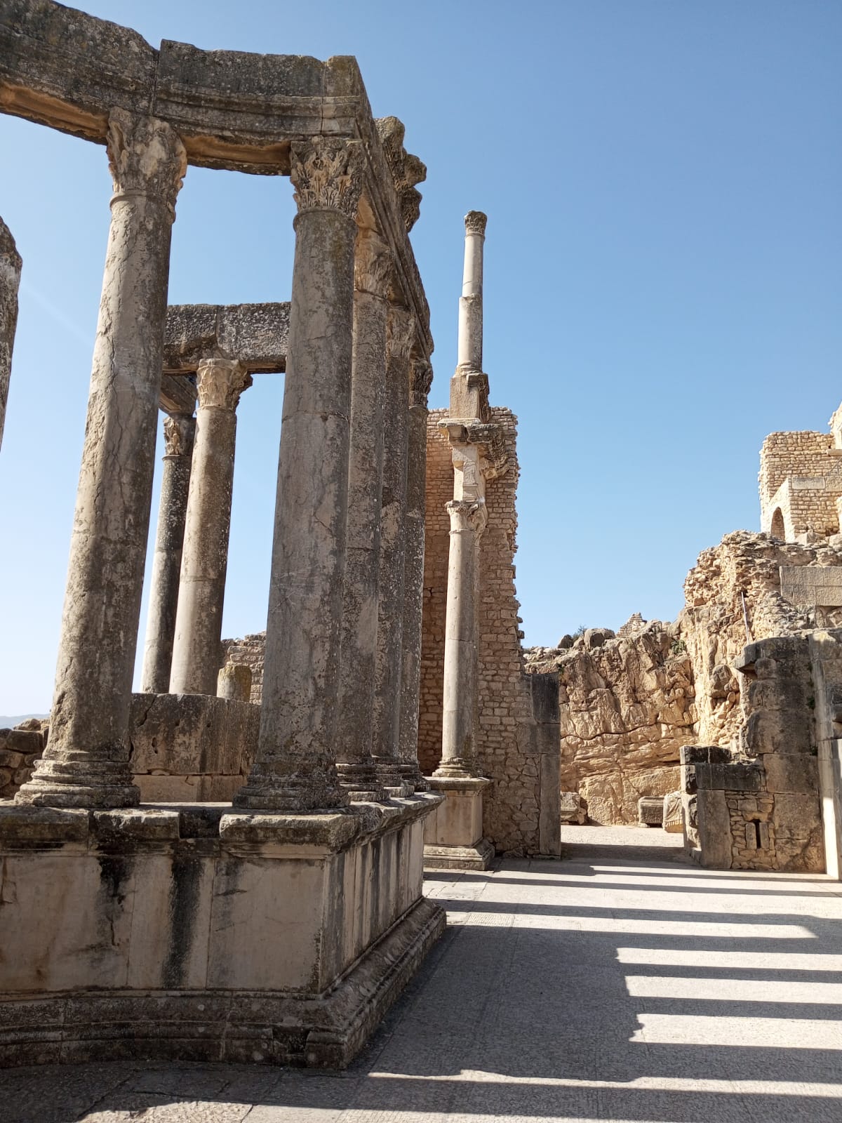 Scoperta di Tunisia