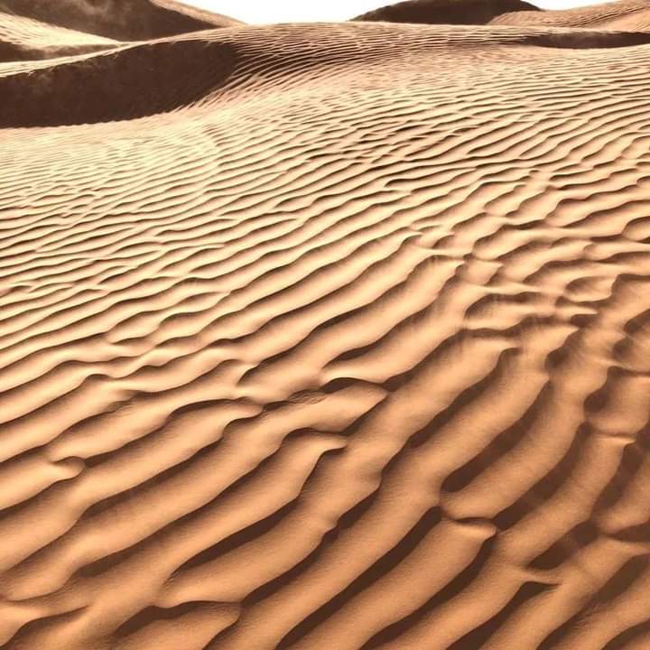 Tunisia Xplora — viaggio en Tunisia