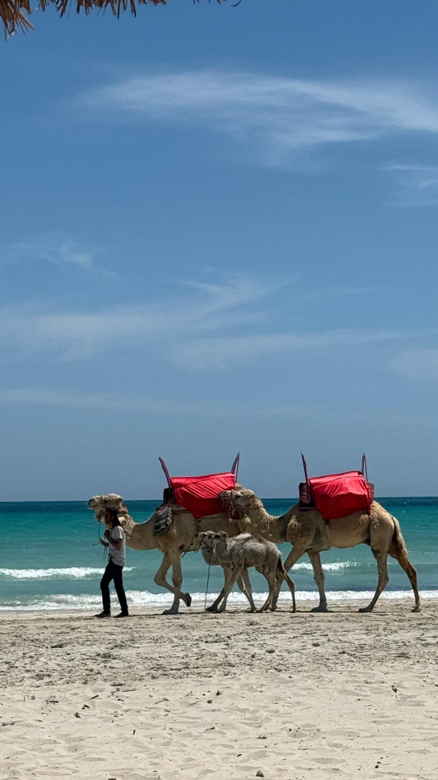Tunisia Xplora — viaggio en Tunisia