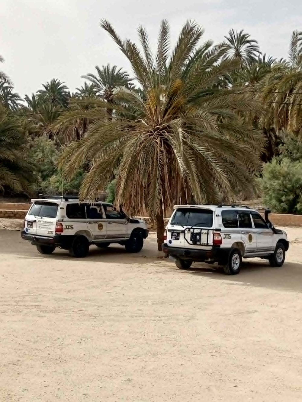 Escursione in 4x4 in un'oasi del sud della Tunisia