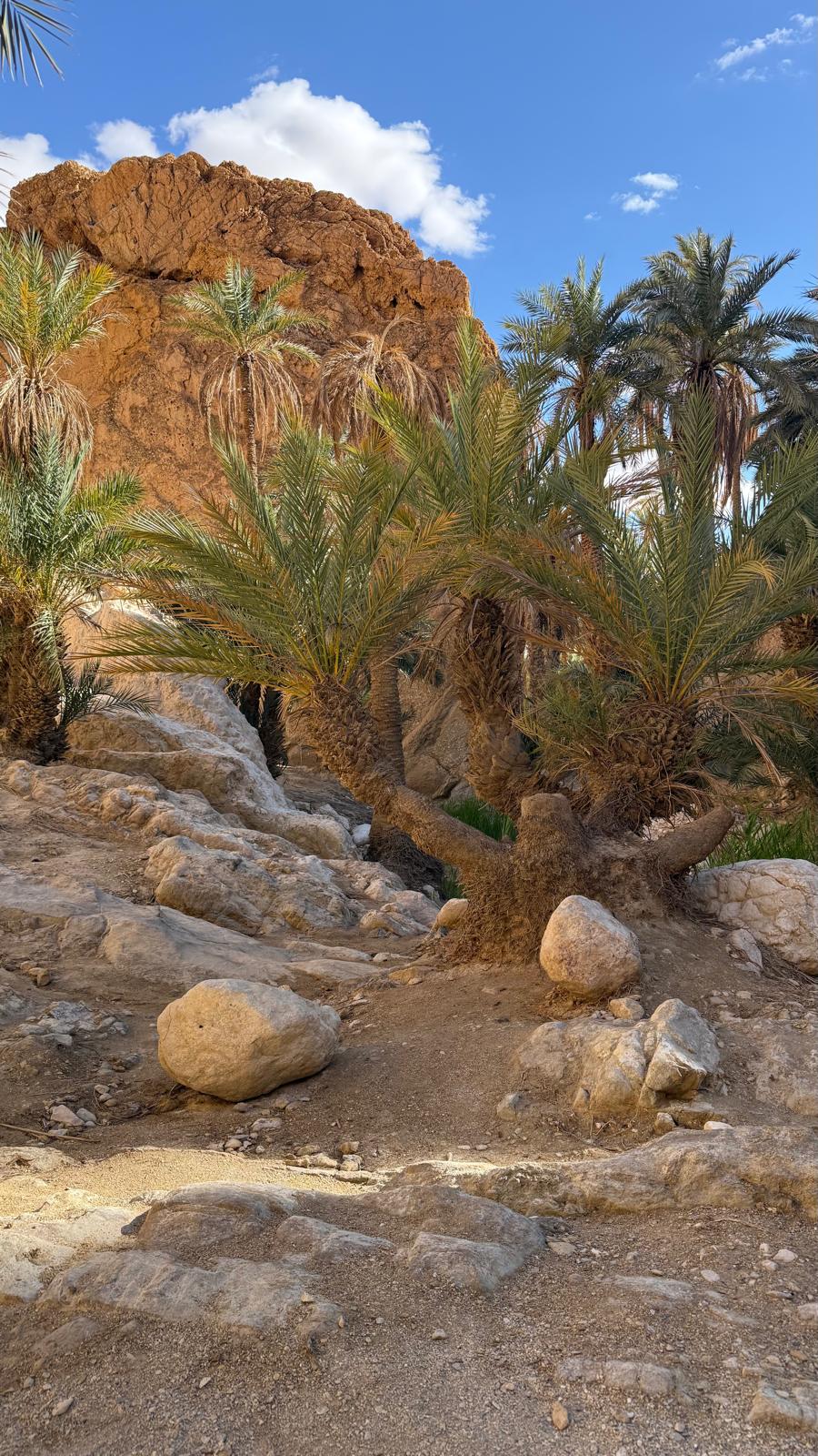 Tunisia Xplora — viaggio en Tunisia
